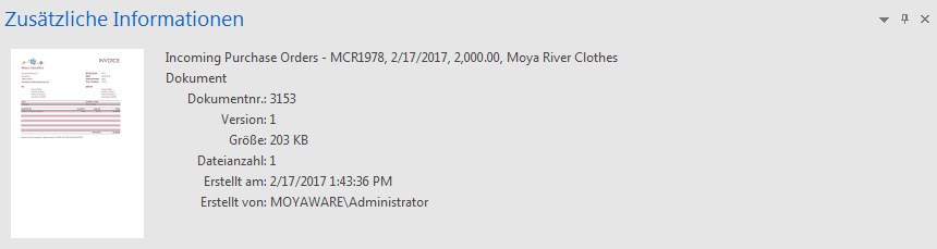 NV_R_UI_Panes_Additional_Information_Pane_001
