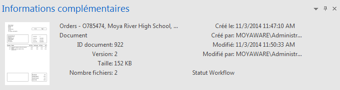 NV_R_UI_Panes_Additional_Information_Pane_001