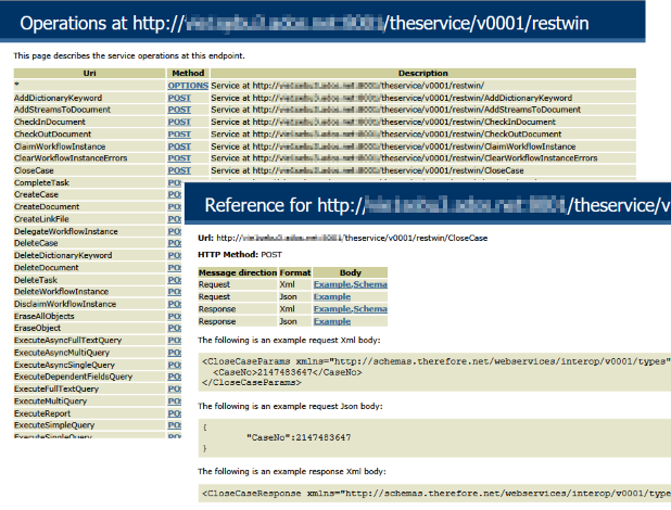 Sample Json/Xml help page