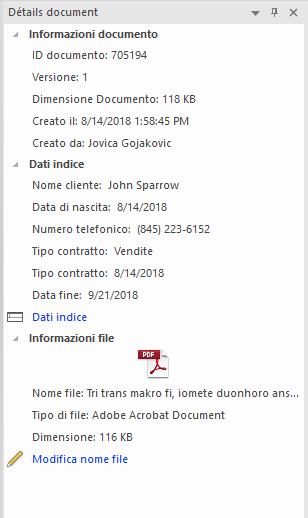 V_R_ViewingPanes_DocumentDetails_001