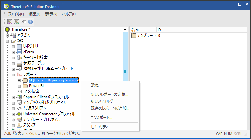 SD_T_Reports_Customize_001