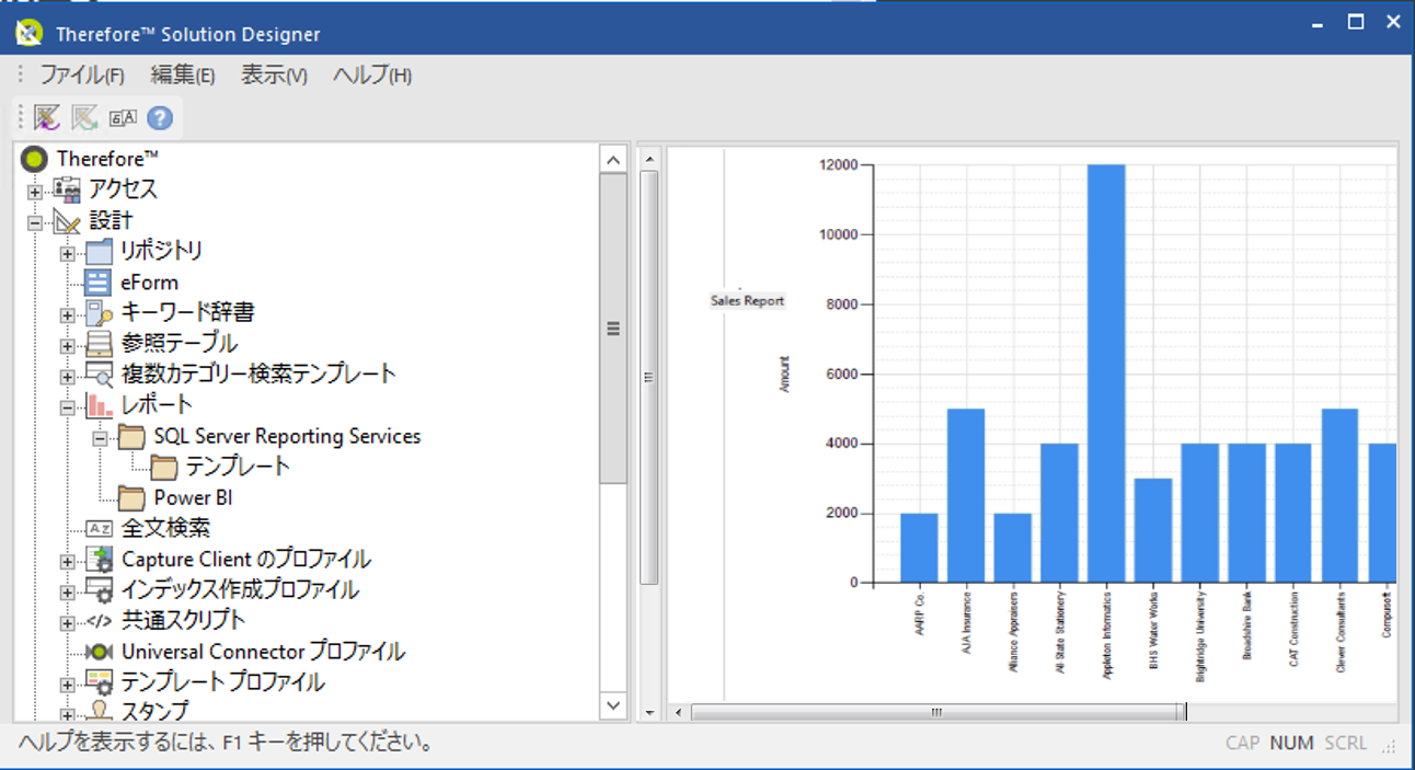 SD_T_Reports_Customize_006