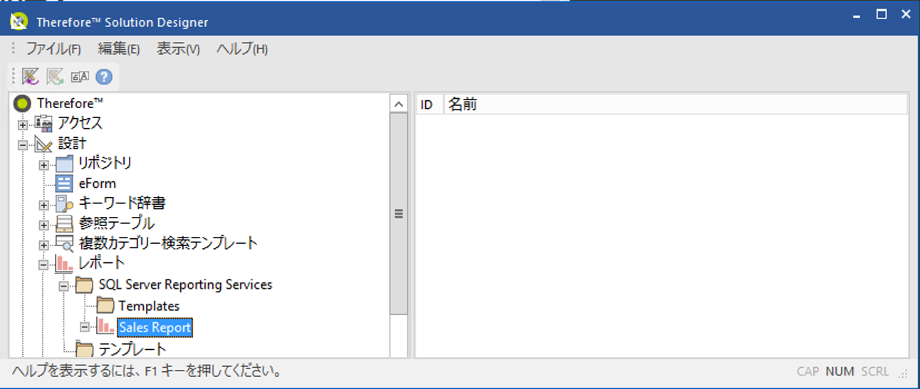 SD_T_Reports_Define_Customize_001