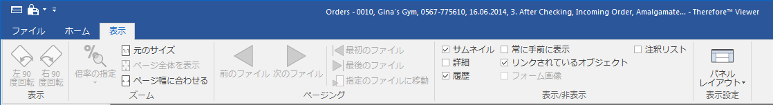 V_R_RibbonMenus_View_001