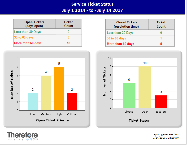 Sample 'Service Ticket Report'